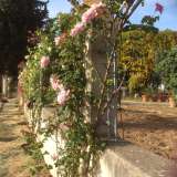 La parete che divide il giardino delle rose dal giardino di erbe officinali